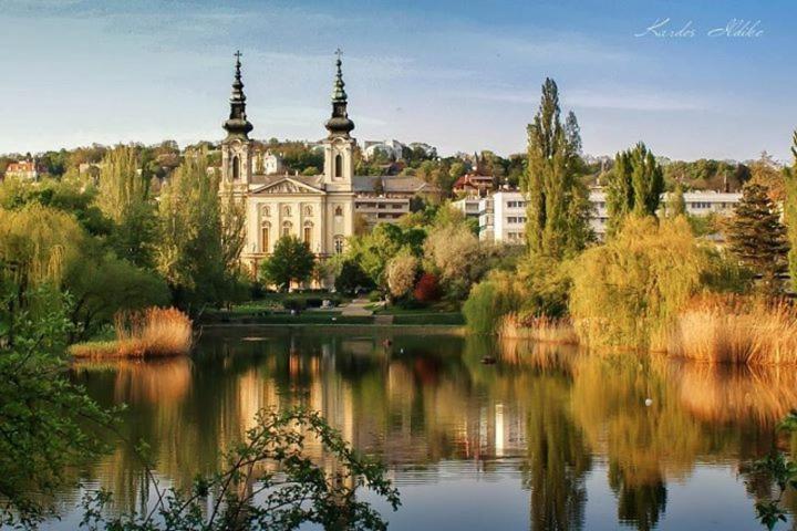 Lili Lakeside New Renovated Budapesta