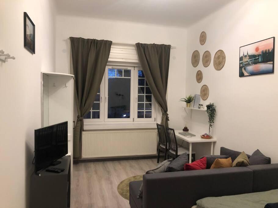 Lili Lakeside New Renovated Apartament